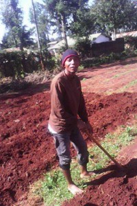 Working in the gardens of Kenya