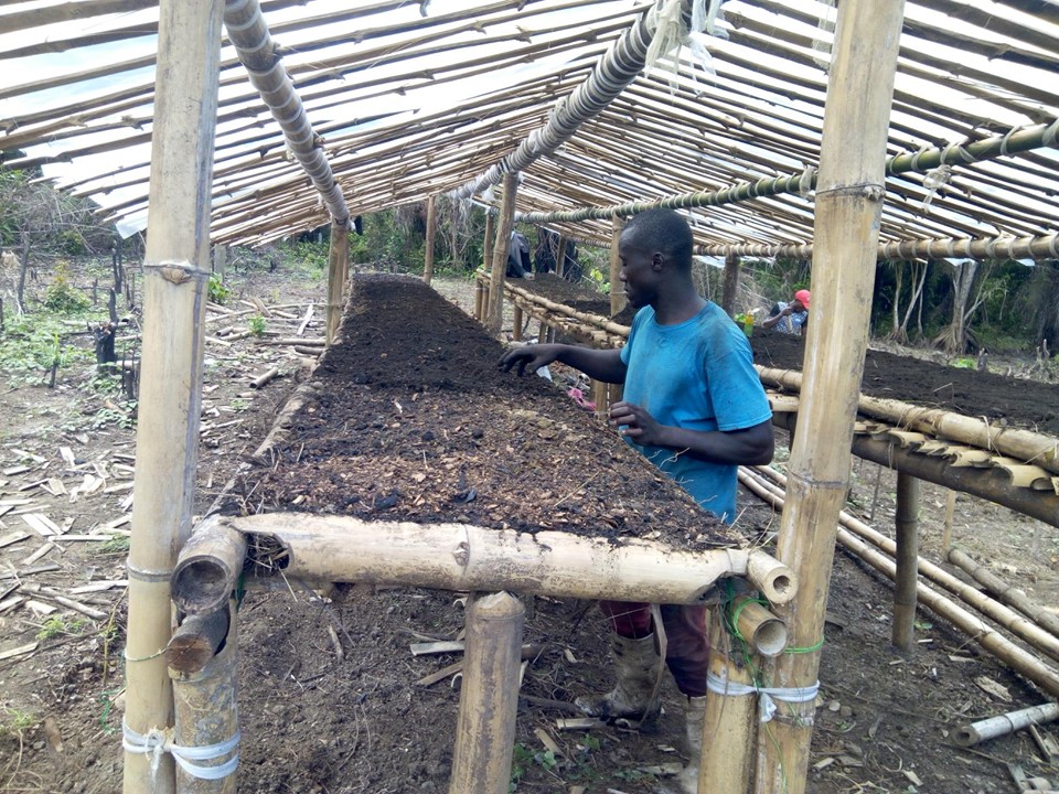 Jerry (Edwin Cooper)  Kelvin and Joseph with the help of hired youth in the community, constructed a nursery.  Here is where they will plant more delicate seeds, like peppers, chili, lettuce, Chinese cabbage etc,  Later they transplant the seedlings to the raised beds.