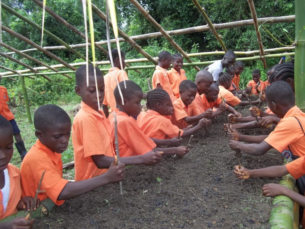 Organic Agriculture is a Growing Success at Civil Compound School