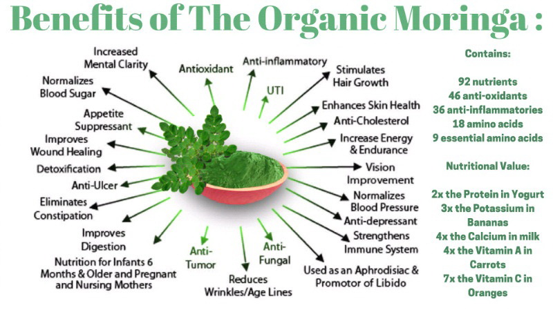 Look at these benefits! No wonder moringa is known world wide as THE MIRACLE TREE!