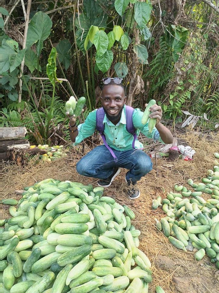 Daniel Coleman shows off some of these lovely cucumbers!  What a Harvest!!