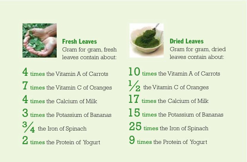 Look at the nutrients in Moringa!  This is why we grow it and teach others to do the same.