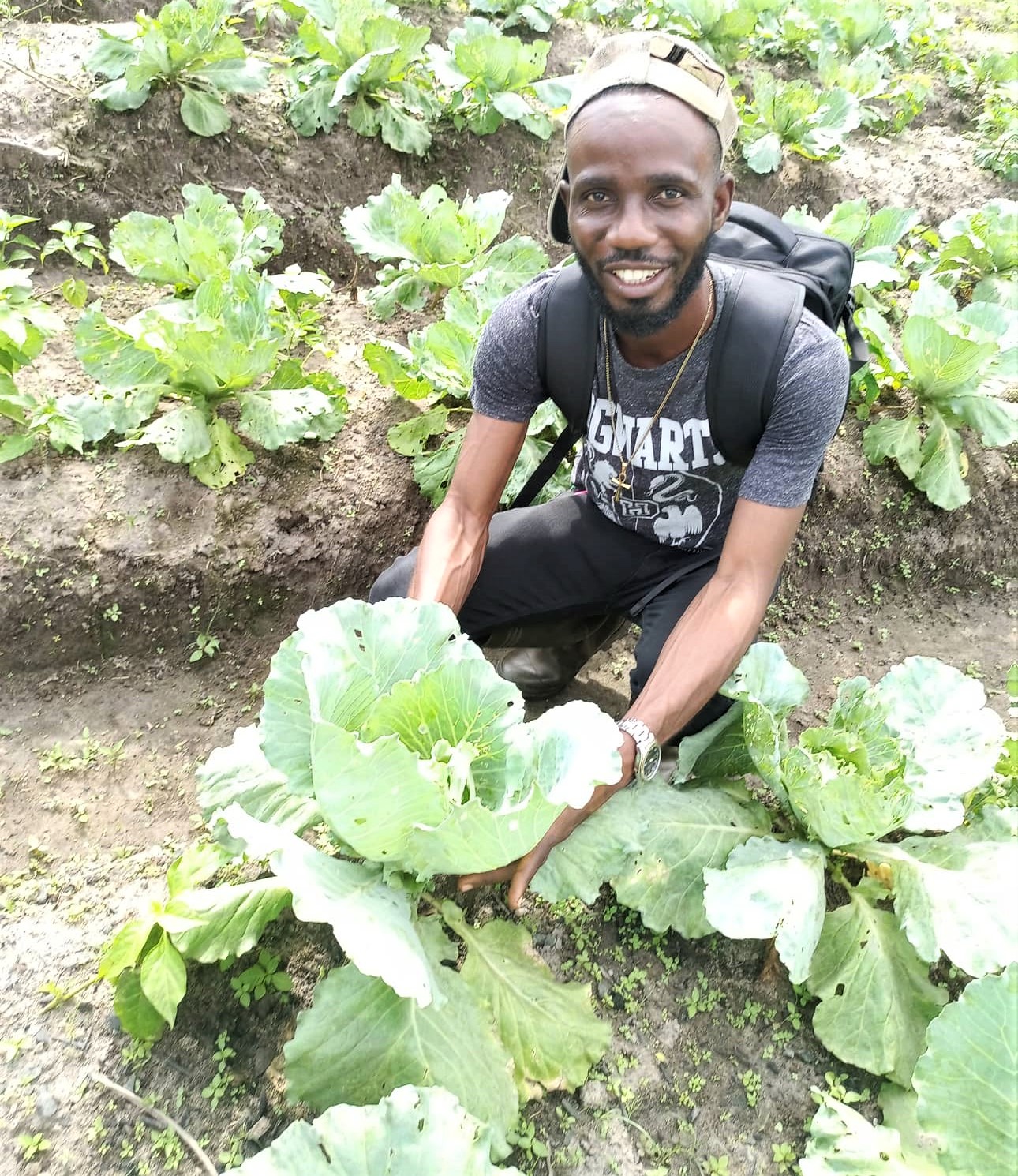 Daniel observes the hundreds of cabbage plants on the beds in Dodee Village.