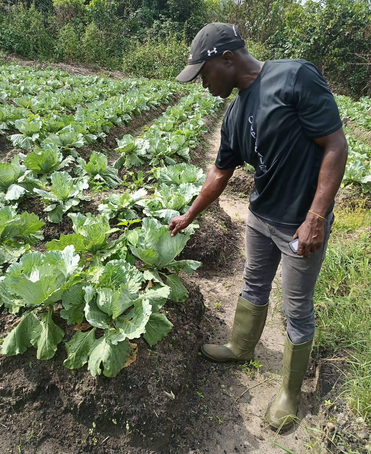 Toney is the Project Manager of All God's Favor Farming Group. They planted a huge crop of cabbages on their double dug beds.