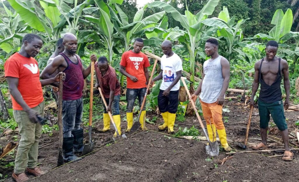 Organic Agriculture is Expanding across Liberia!