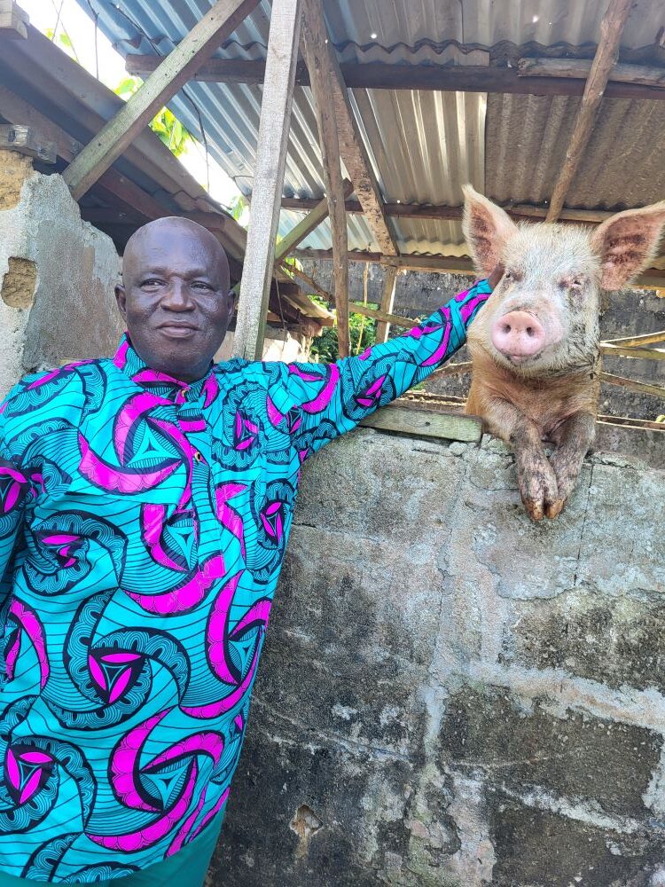 Otis is still raising pigs! All this helps support the home. 
He still has his pharmacy close to their house. 
Benetta has her tailoring business. Provision of Hope gives them business loans. They have done well over the years to pay them off on time.