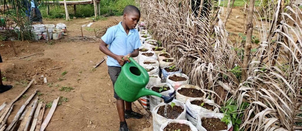 Organic Agriculture Shows Progress in Nimba County Schools