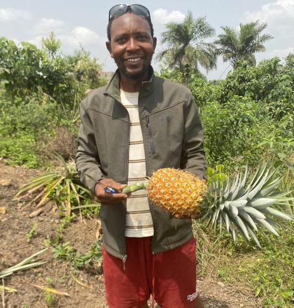 Beautiful Pineapple