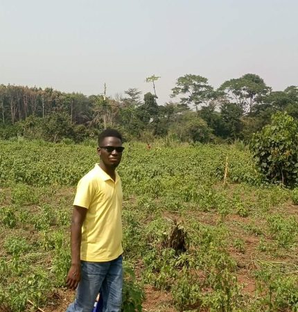 Emmanuel Kunukee at Gbedin Gardens inspecting Egg Plants